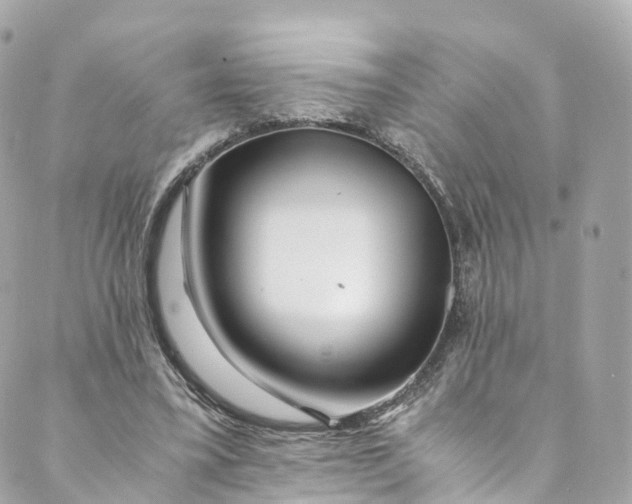 X0000088910395200706291535