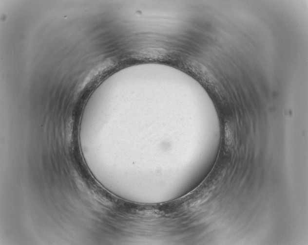 X0000088910396200706291535