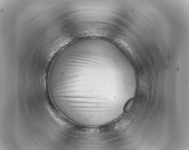 X0000088910398200706291534