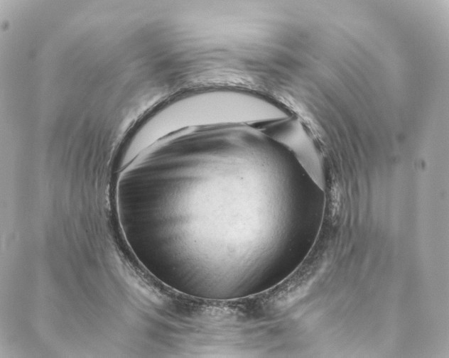 X0000088910399200706291534