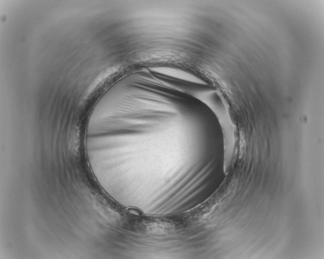 X0000088910400200706291534