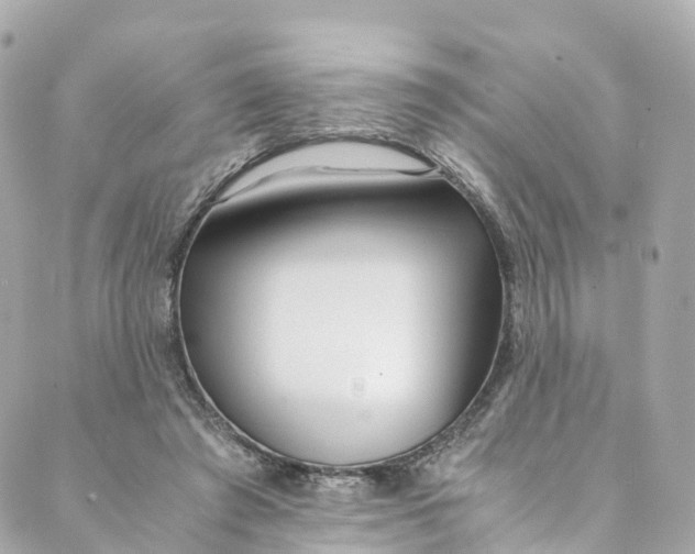 X0000088910401200706291534