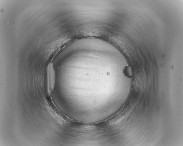 X0000088910402200706291534