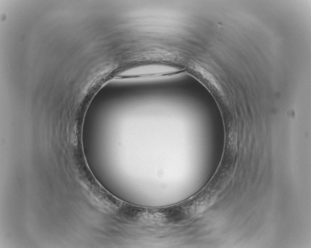 X0000088910403200706291534