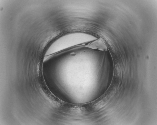 X0000088910404200706291534