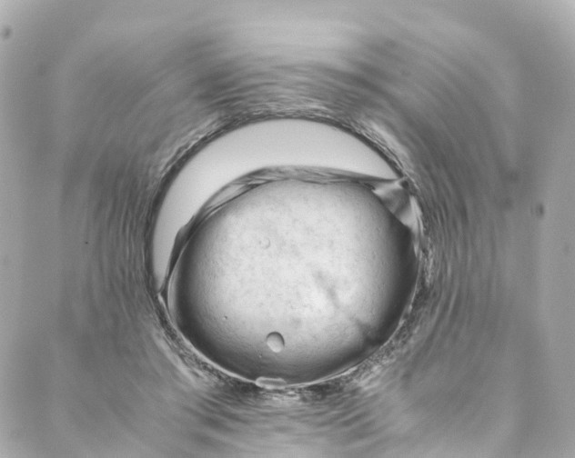 X0000088910405200706291534