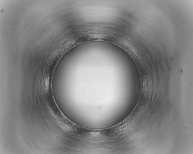 X0000088910406200706291534