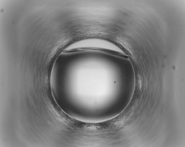 X0000088910407200706291534