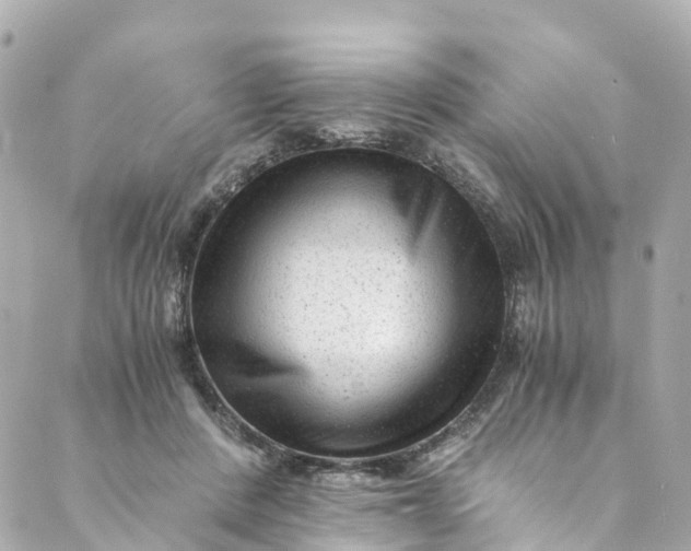 X0000088910408200706291534