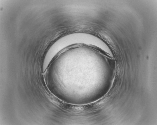 X0000088910409200706291534