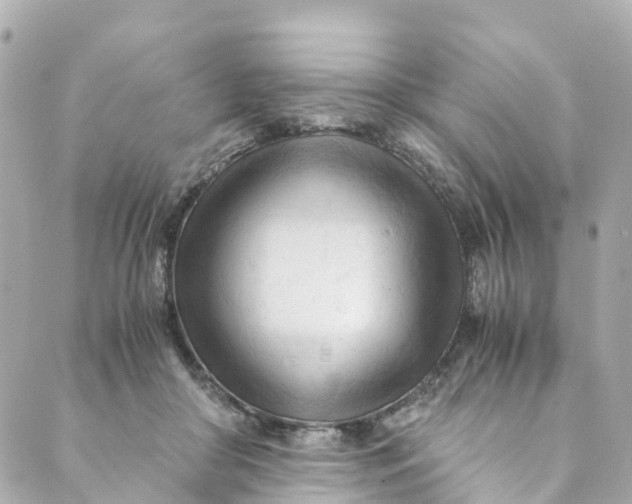 X0000088910410200706291534