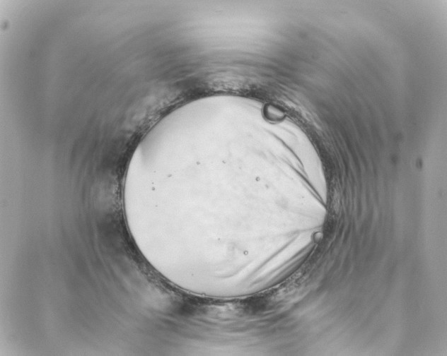 X0000088910411200706291534