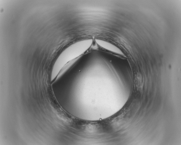 X0000088910412200706291534