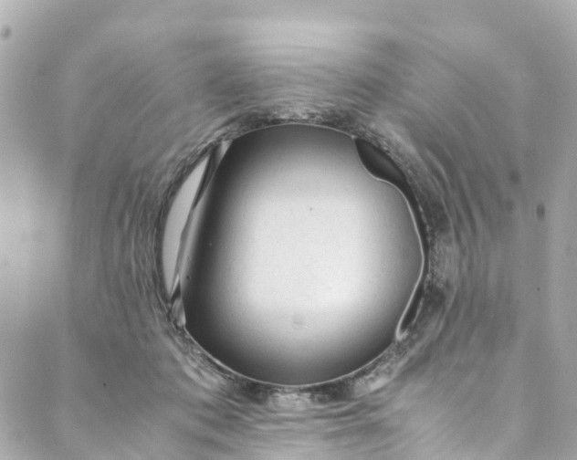 X0000088910413200706291534