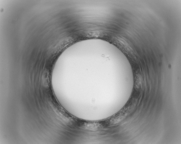 X0000088910414200706291534