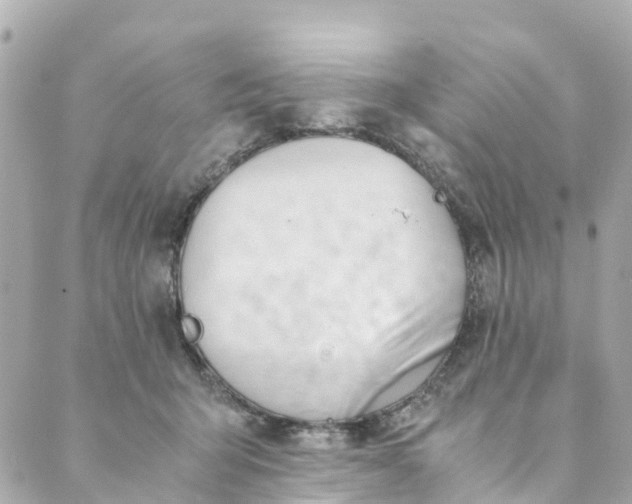 X0000088910415200706291534