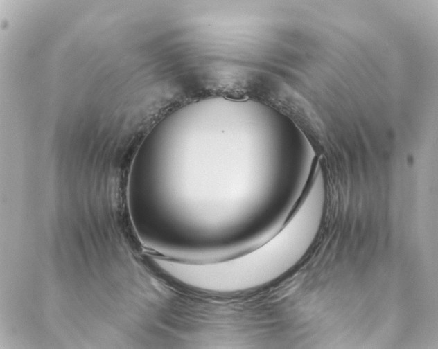 X0000088910416200706291534