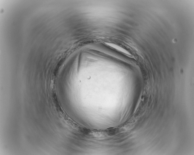 X0000088910417200706291534