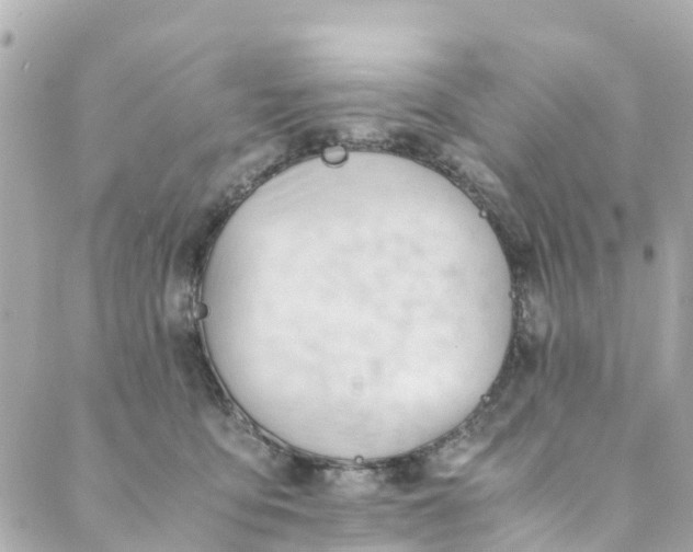 X0000088910419200706291534