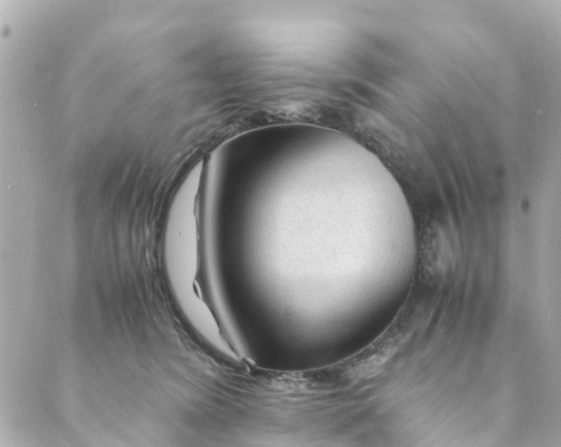 X0000088910420200706291534