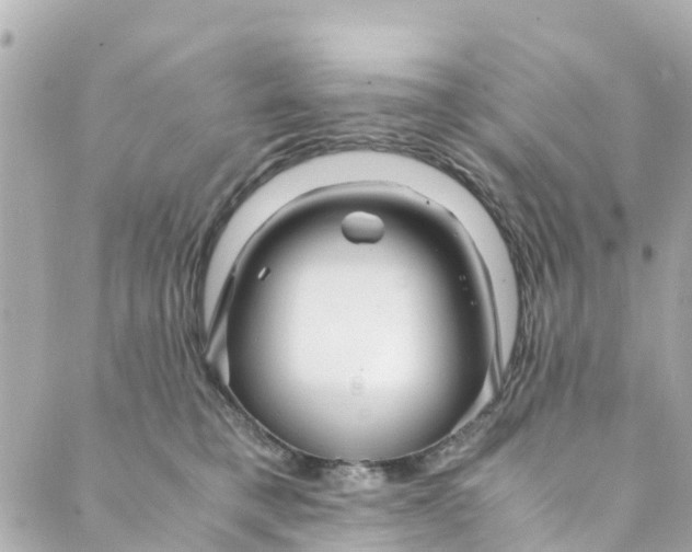 X0000088910421200706291534