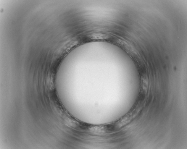 X0000088910422200706291534