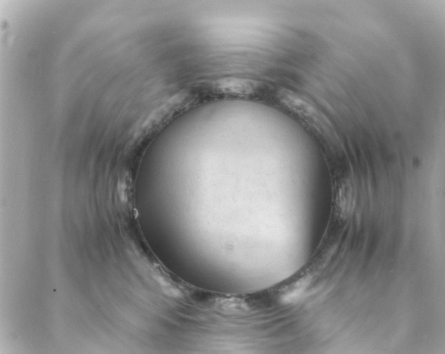 X0000088910424200706291534