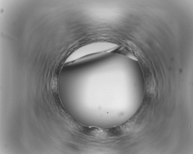 X0000088910425200706291534