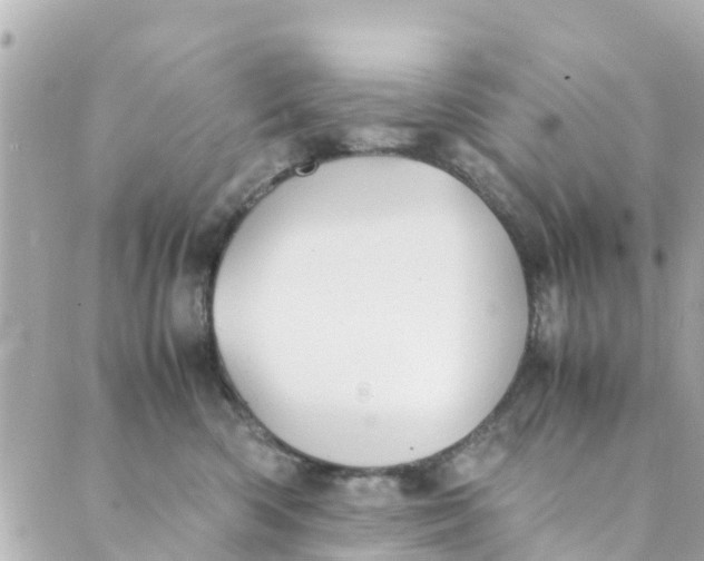 X0000088910426200706291534