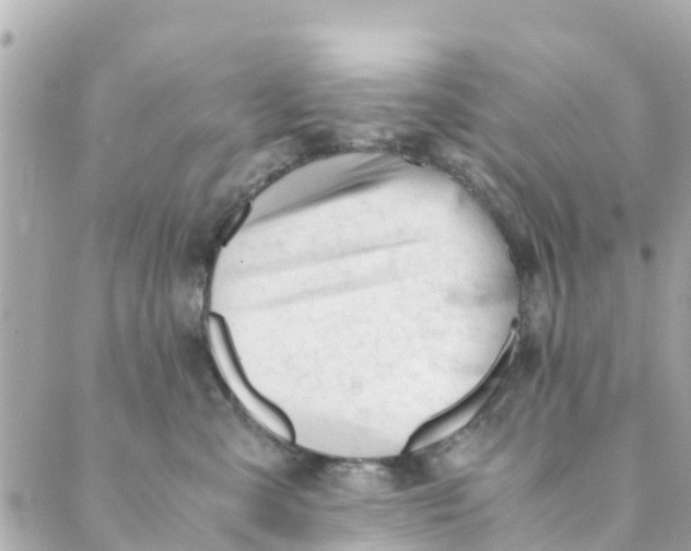 X0000088910427200706291534