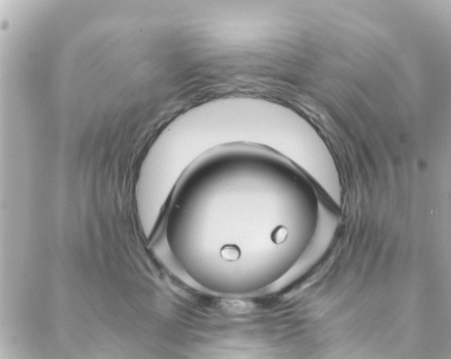 X0000088910429200706291534