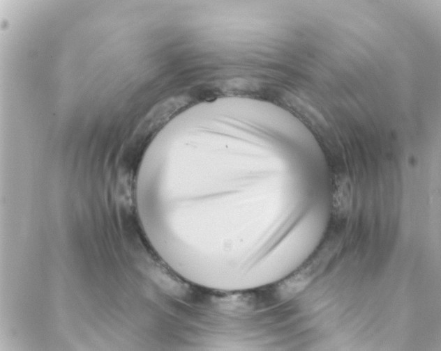 X0000088910430200706291534