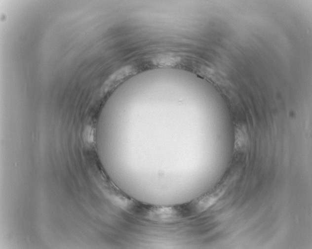 X0000088910431200706291534