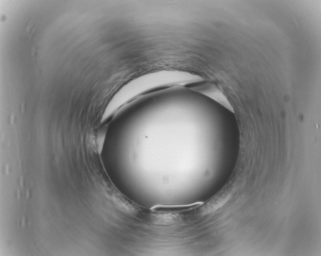 X0000088910432200706291534