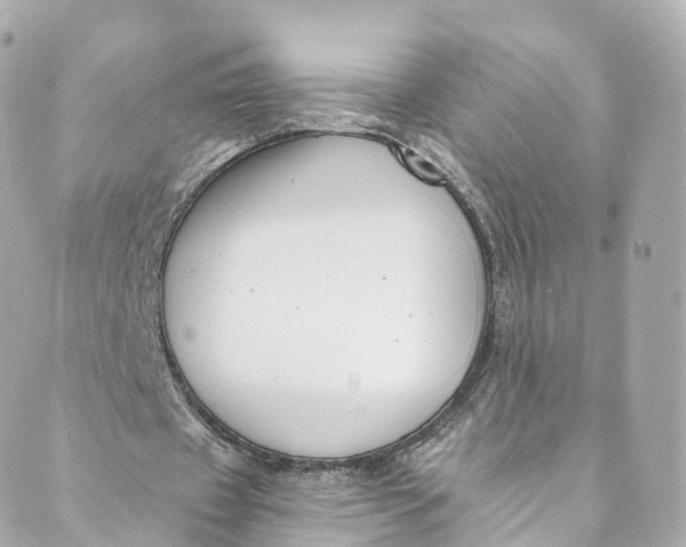 X0000088910433200706291533