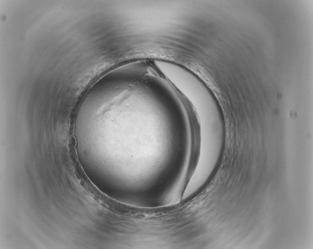 X0000088910434200706291533