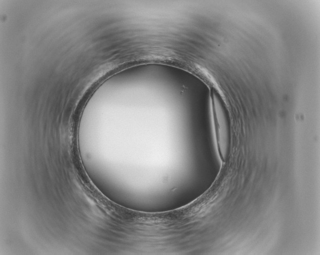 X0000088910435200706291533