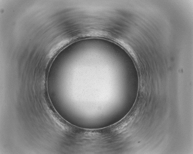 X0000088910437200706291533