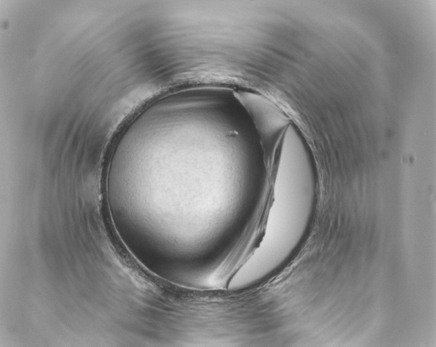 X0000088910438200706291533