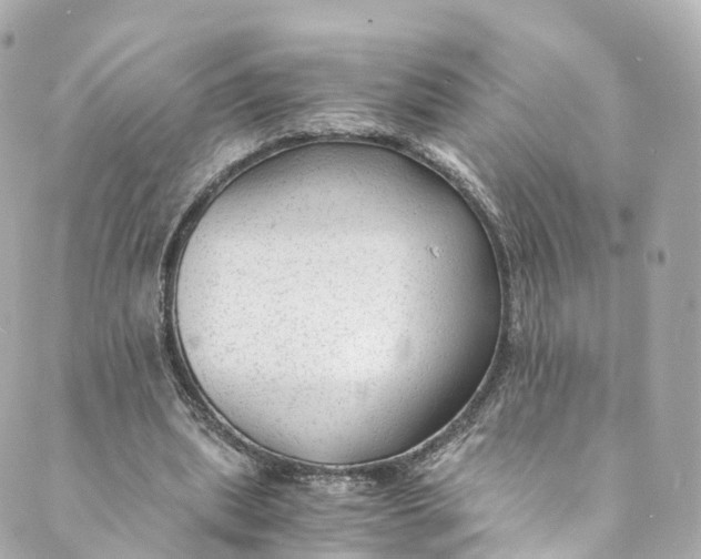 X0000088910439200706291533