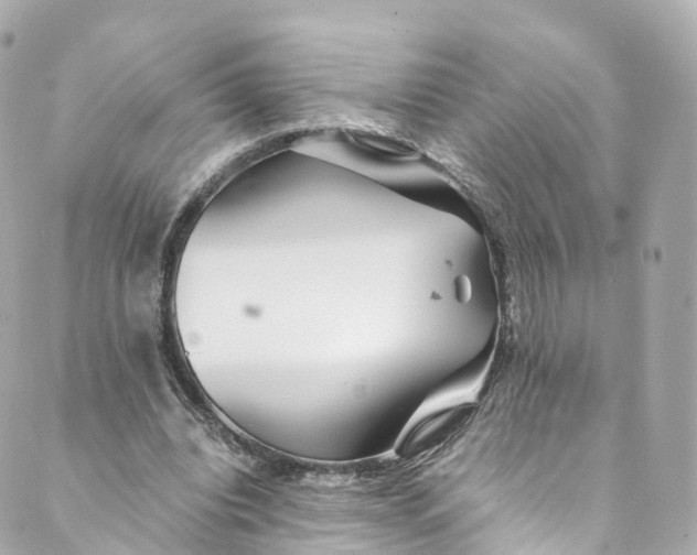 X0000088910440200706291533