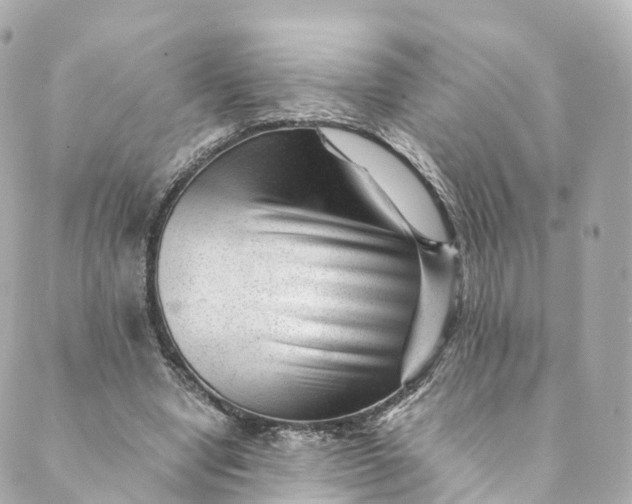 X0000088910442200706291533