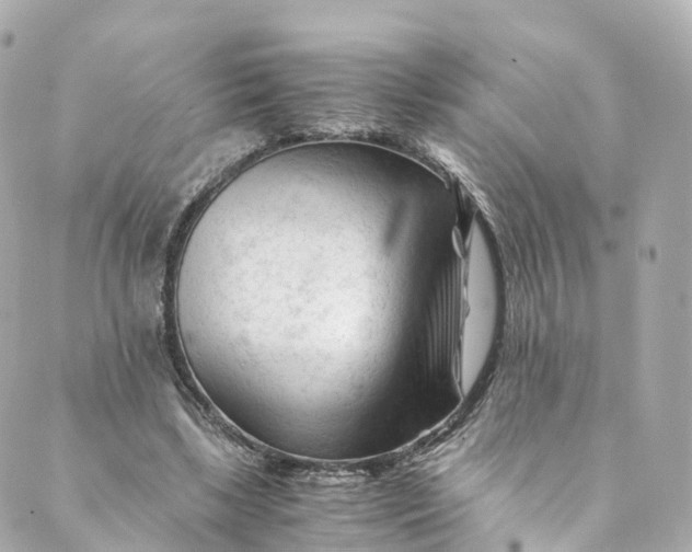 X0000088910443200706291533