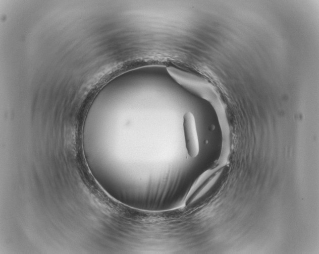 X0000088910444200706291533