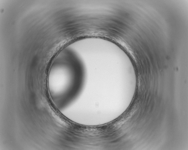 X0000088910445200706291533