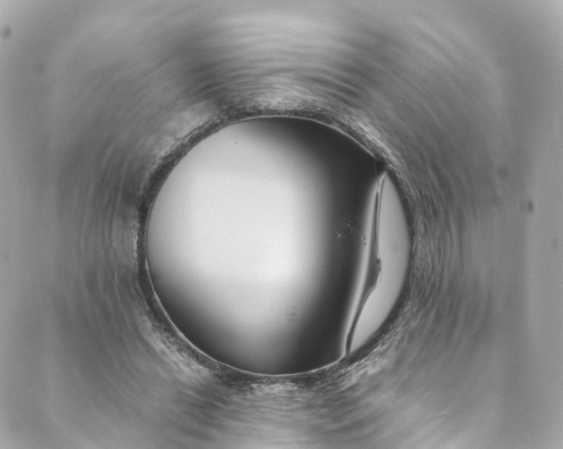 X0000088910446200706291533