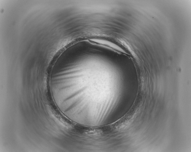 X0000088910447200706291533