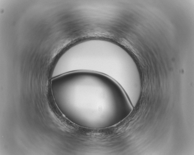 X0000088910448200706291533