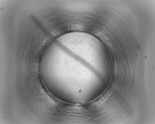 X0000088910449200706291533