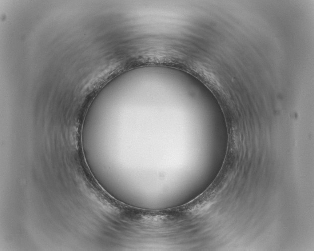 X0000088910450200706291533